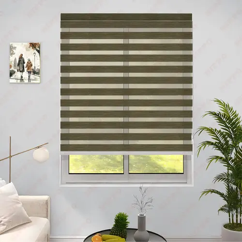 zebra blinds in noida