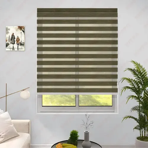 zebra blinds in noida zebra blinds in noida